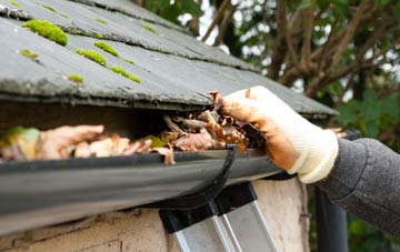 gutter cleaning Linwood