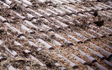 Linwood roof cleaning companies