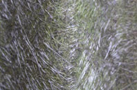 Linwood fibreglass roof work